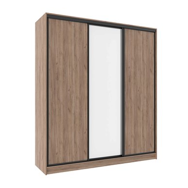 Шкаф-купе Домашний 3-х дверный