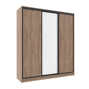 Шкаф-купе Домашний 3-х дверный